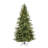 Lighted Pine Christmas Tree-1708352670