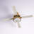 52" Lopato Brass and White 4-Blade LED Ceiling Fan