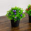 6 po Mini plante artificielle à fleurs en pot noir - ensemble de 3