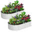 Planter-92567607-92567603