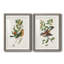 Oiseau antique, botanique et œuf I - ensemble de 2 reproductions d'art sur papier encadré-1329192763-1329192738