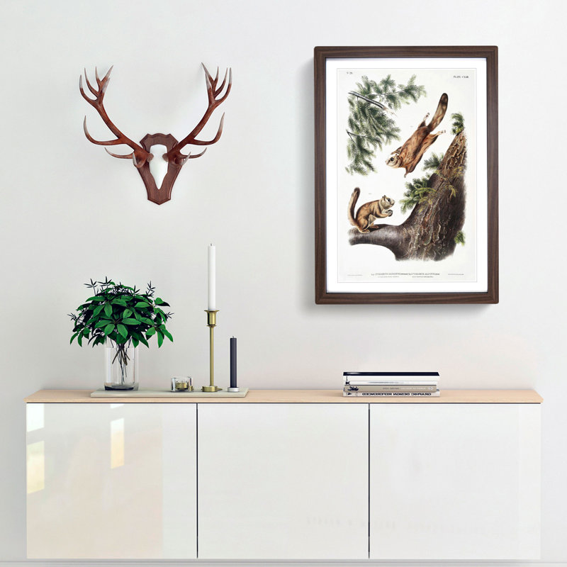Two Flying Squirrels by J.W. Audubon - Picture Frame Painting Print, 87cm H x 62cm W x 2cm D, Walnut Framed