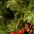 72' Lighted Fir Christmas Tree