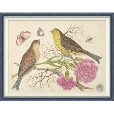 18th Century Floral Bouquets With Birds I Painting