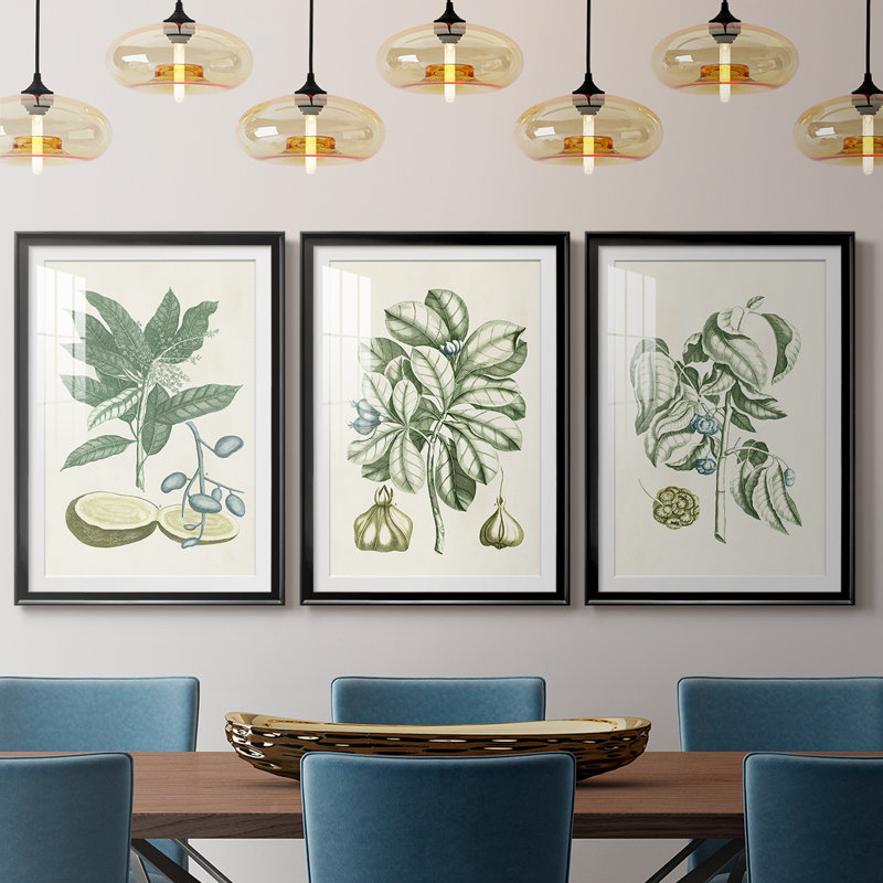 Buchoz Tropicals IV - reproduction encadrée sur mesure de qualité supérieure mate - 3 pièces, Noir, H 30 po x l 63 po