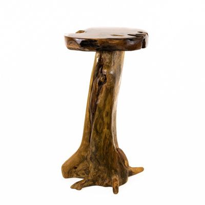 Burruss Solid Wood Tree Stump End Table