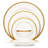 Rochelle Gold Dinnerware Collection