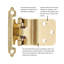 Surface Self-Closing Variable overlay, 3/8 Inch Inset Face Frame Self-Close - Polished Brass - Cabinet Door Hinges (Set of 2)-125303919-125303912