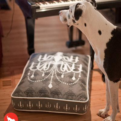 Cotton Pet Bed