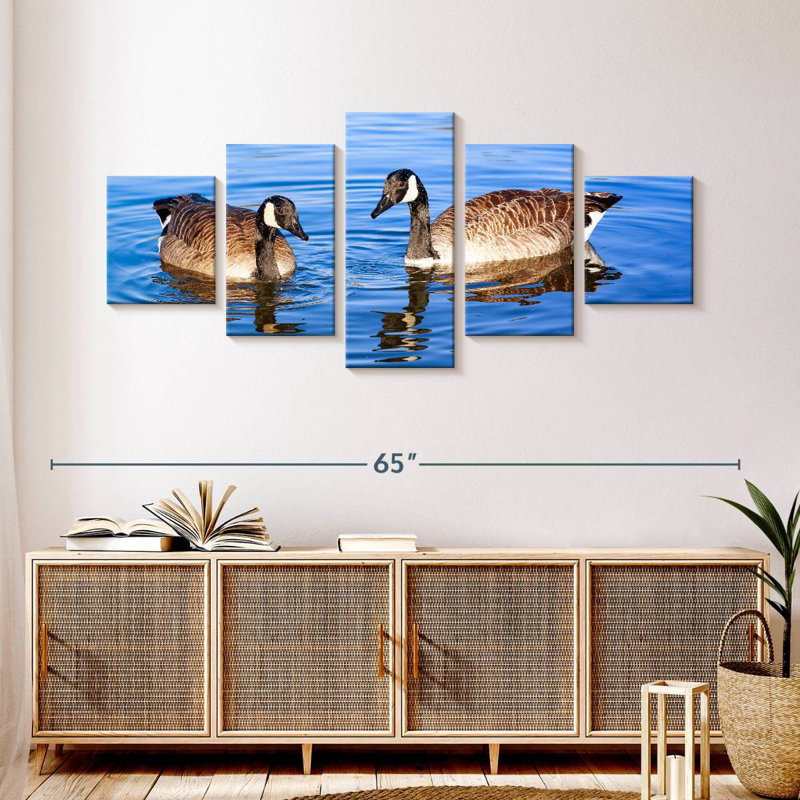 Two Geese In A Pond