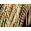 Light Graffiti Print by Adam Sherbell-1749555461