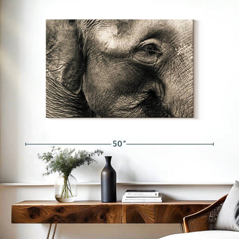 Visage d'éléphant Brampt, H 26 po x l 39 po