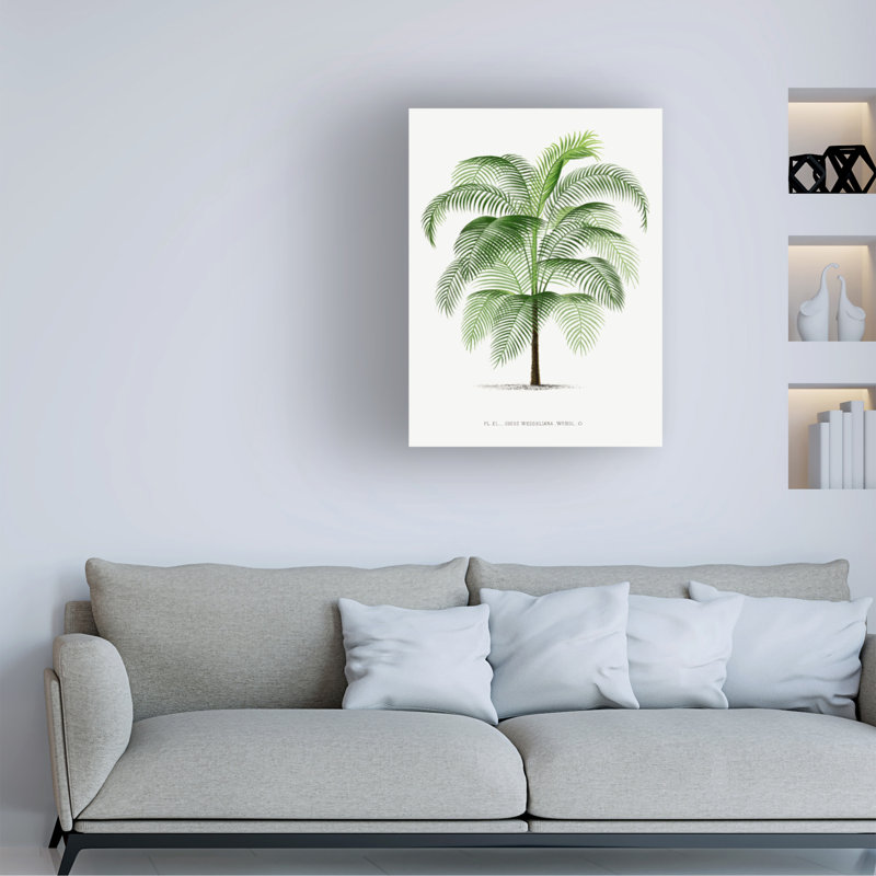 Art sur toile, Les Palmiers Histoire, Cocos Weddeliana, H 19 po x l 14 po