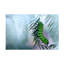 Art sur toile par Jimmy Hoffman-109226687