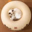 Lit-tunnel en feutre Beige Bear Decor Donut, cachette semi-fermée 2-en-1 pour chat avec conception lavable amovible