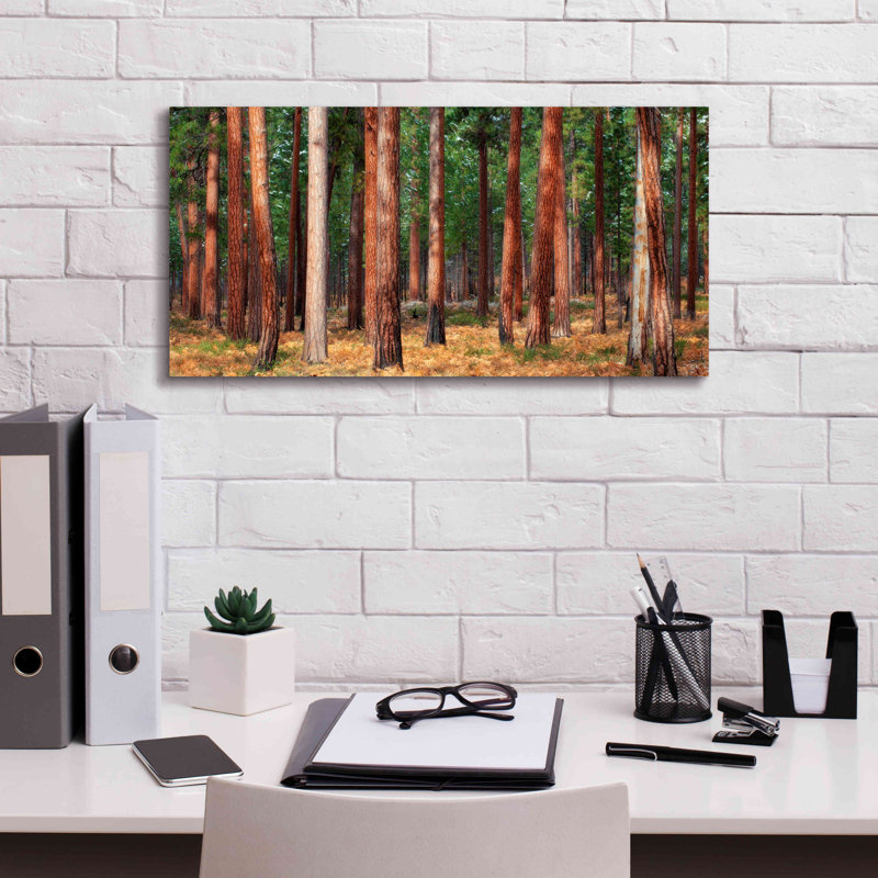 «Ponderosa Trunks», impression sur toile tendue, H 12 po x l 24 po x P 0,75 po
