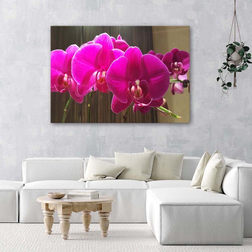 Leinwandbild Zen Orchid Pink Flower