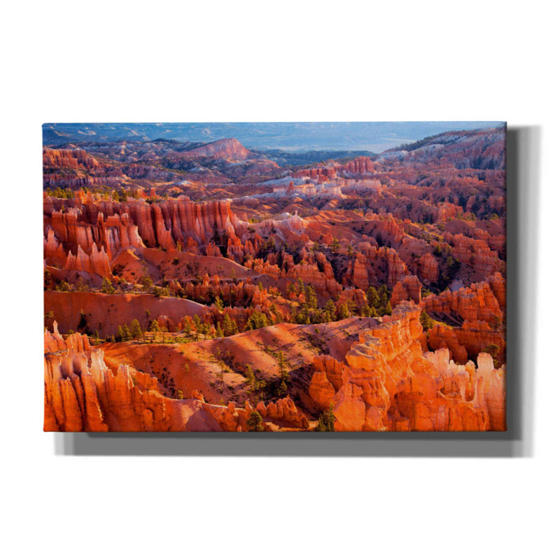 «Morning Light» par - Impression sur toile tendue, H 12 po x l 18 po x P 0,75 po