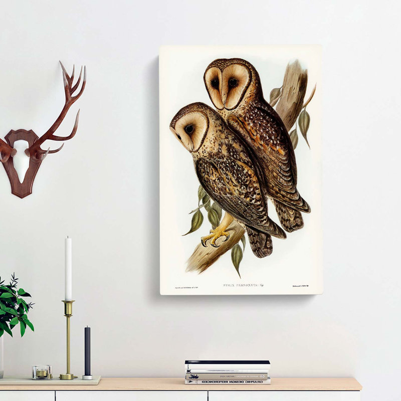 Masked Barn Owls by Elizabeth Gould - Wrapped Canvas Painting, 50cm H x 35cm W x 3cm D
