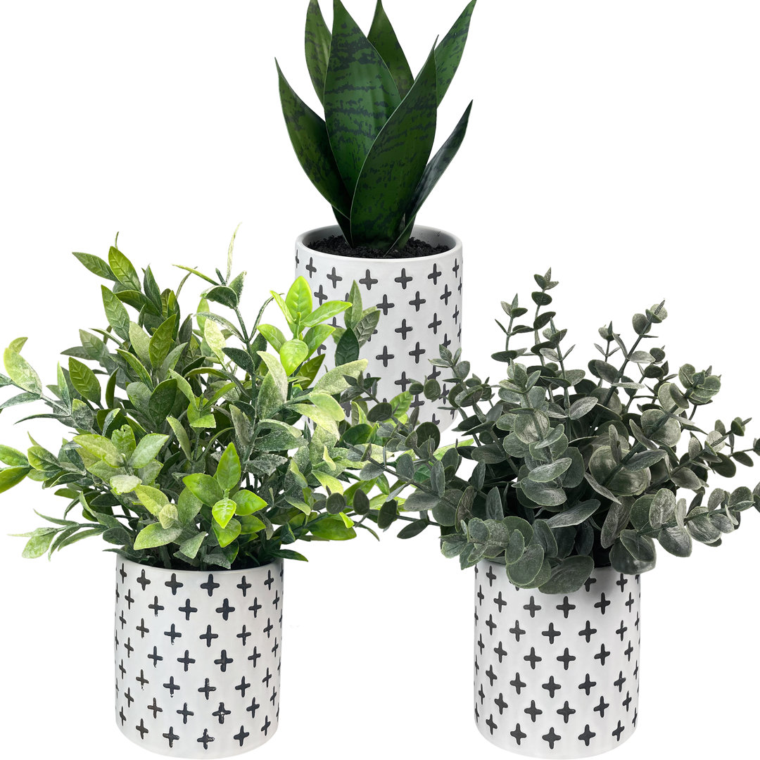 9.84'' Faux Plant in Ceramic Pot (Set of 3) Primrue