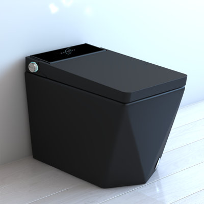 Modern Smart Toilet with Bidet, Auto Flush, Heated Seat, Foam Shield, Elongated Comfort Height, 1.28 GPF