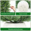 Plant-1220432896