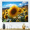 Bhavana, Espagne, tournesols, champ de chaleur II, reproduction sur toile