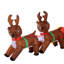 Weather Resistant Christmas Decoration