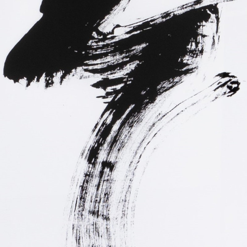 Assertive Print by Johan Manschot