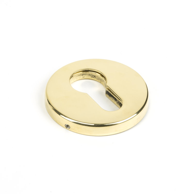 Regency Concealed Escutcheon Rosette, Aged Brass