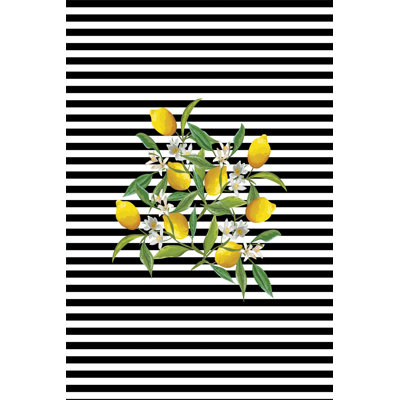 Tapis tissé de qualité supérieure, 100% polyester, 5,9 x 9,2 pi, 650 g / m² | Antibactérien, antidérapant, impression numérique 3D | Lavable à la machine, hauteur des poils doux: 0,3 po | Parfait pour le salon et la chambre à coucher