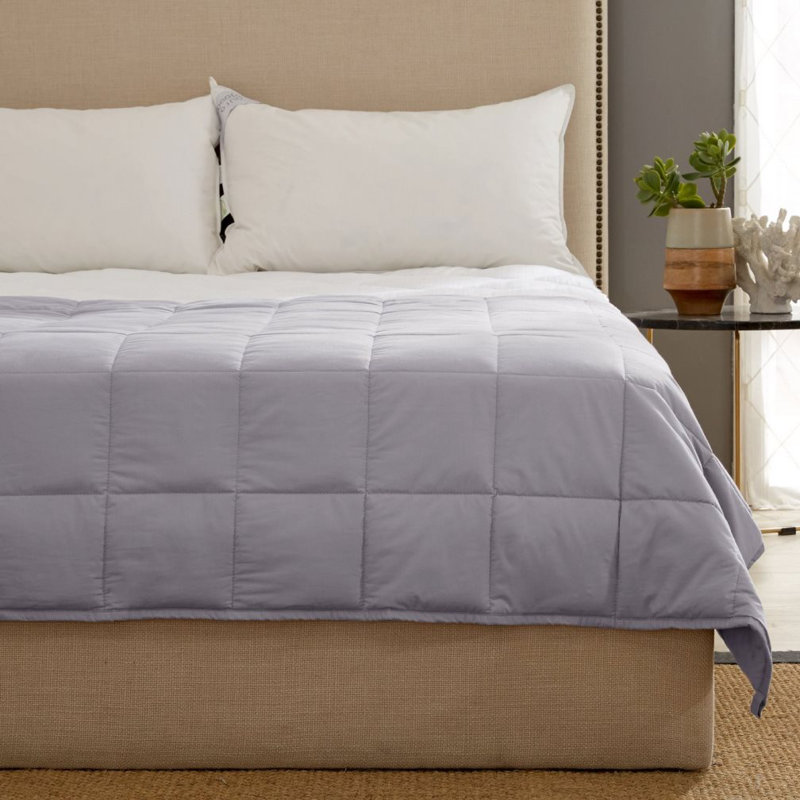 Couverture lestée avec perles de verre Kathy Ireland Home, 48" x 72", Argent, 15 lb