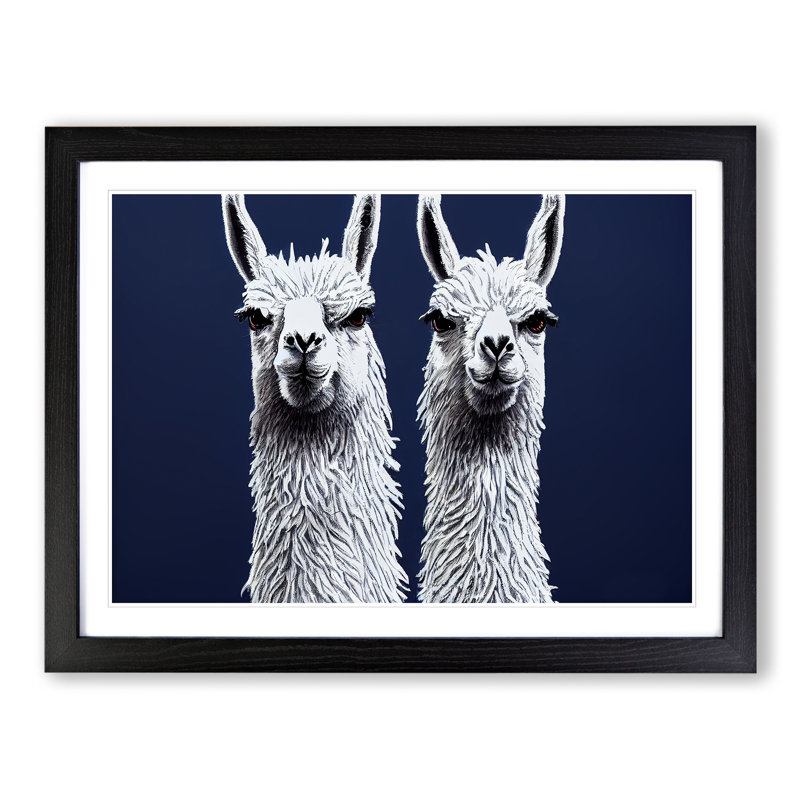 XH1022-9016X The Two Llamas Vol.2 - Single Picture Frame Print, 25cm H x 34cm W x 2cm D, Black Framed