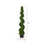 Arbre en spirale de buis vert Wolfdale-20583855