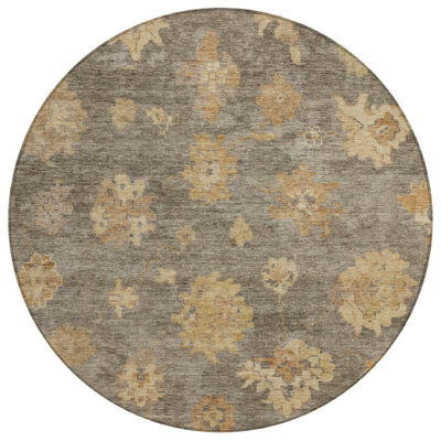 Machine Washable Indoor/Outdoor Chantille ACN2305 Global Rug