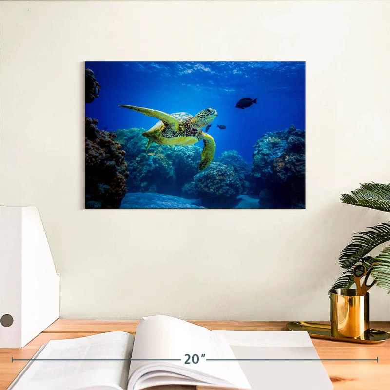 Crowle Glowing Turtle, 8" H x 12" W