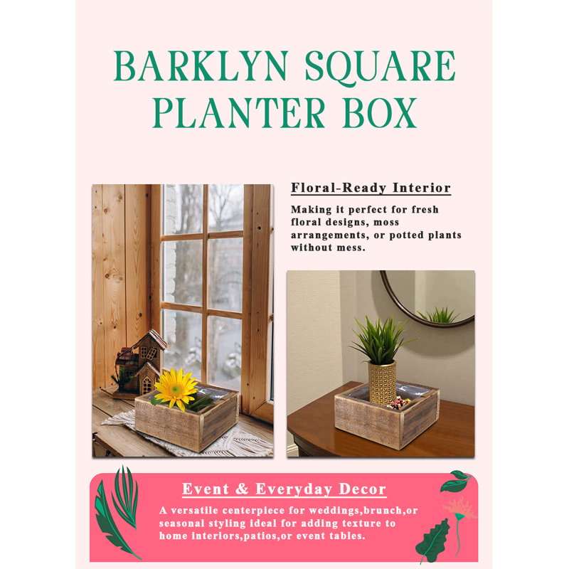 Boîte à fleurs carrée 7,9 po x 3,5 po Serene Spaces Living Barklyn