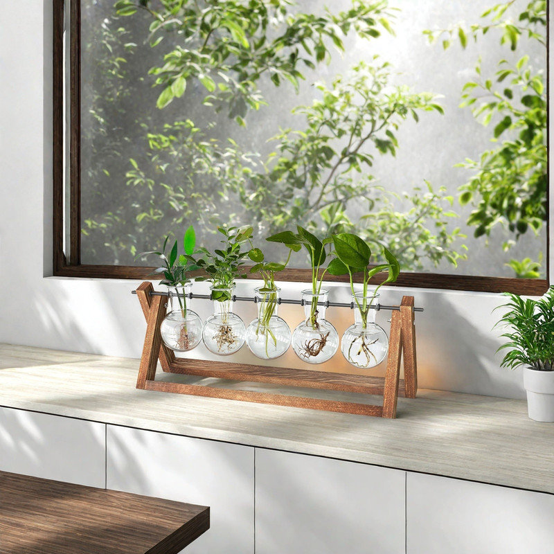 Terrarium pour plantes avec support en bois, vase 5 ampoules