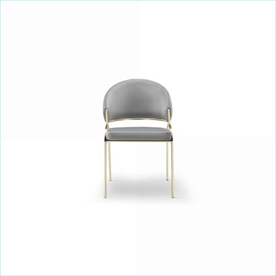 Chaise d'appoint moderne moderne gris ardoise, siège simple avec pieds dorés en métal pour salon chambre à coucher adultes