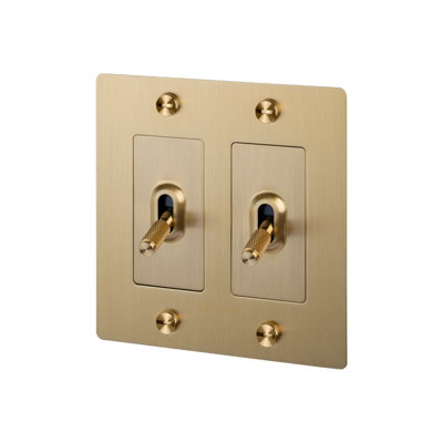 Toggle Switches Double Light Switch with Logo