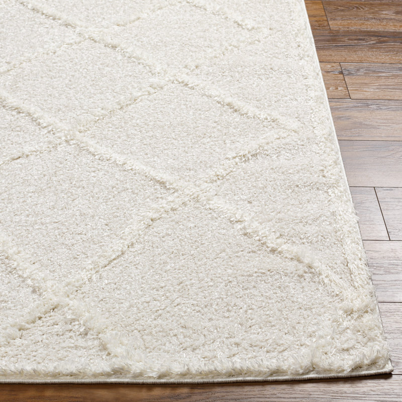 Weccacoe Indoor Rug, Rectangle 5'3" x 7'