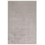 Area Rug in Beige