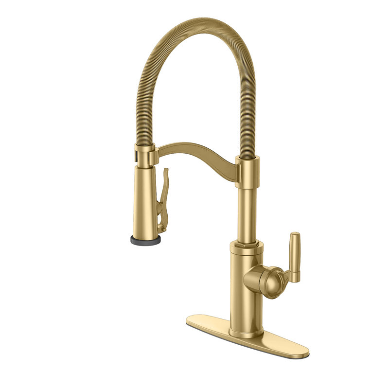 Vetta Pull Out Kitchen Faucet, Gold
