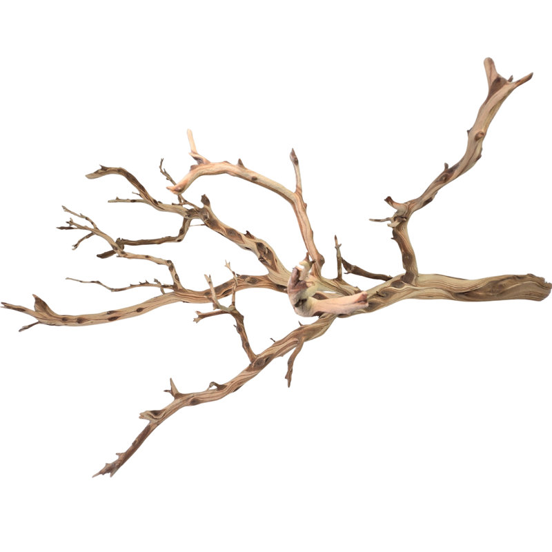  Natural California Driftwood Branch, 36-Inch