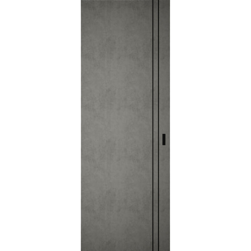 Grange cachée | Planum 0016 | Portes robustes à finition robuste et modernes | Ensemble coulissant Magic, 32 po x 96 po