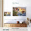 Mehar The Summer Glow-108128239