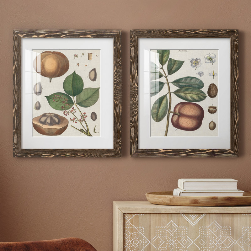Exotic Botanique II, reproduction encadrée de qualité supérieure - prête à être accrochée, H 20 po x l 17 po x P 1 po, Blanc