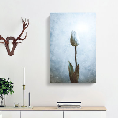 Solitary White Tulip - Wrapped Canvas