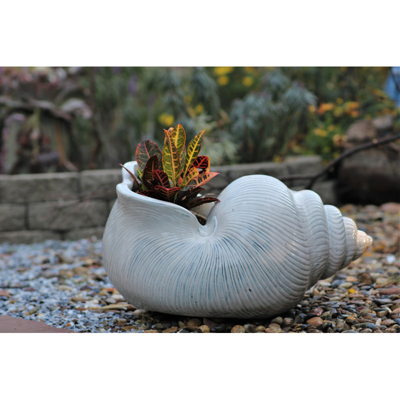 Grande jardinière à coquillage PLANTatorEM (blanc) - Céramique de cuisson à la main, Blanc