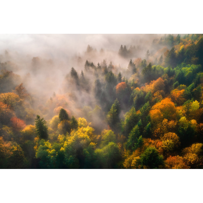 Automne brume - art enchanteur sur bois, H 30 po x l 40 po